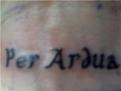Second tattoo, Per Ardua is the McIntyre (my great grandmas maiden name) clan motto and means 'through difficulties' I love it :)